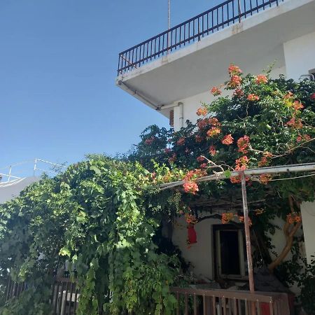 Ampelos Andros Mpatsi Esterno foto
